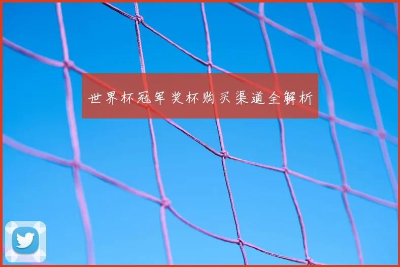 世界杯冠军奖杯购买渠道全解析