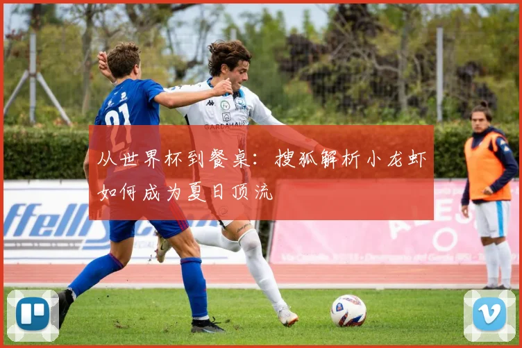 从世界杯到餐桌:搜狐解析小龙虾如何成为夏日顶流