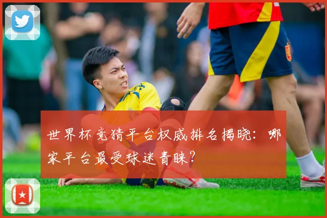 世界杯竞猜平台权威排名揭晓:哪家平台最受球迷青睐?