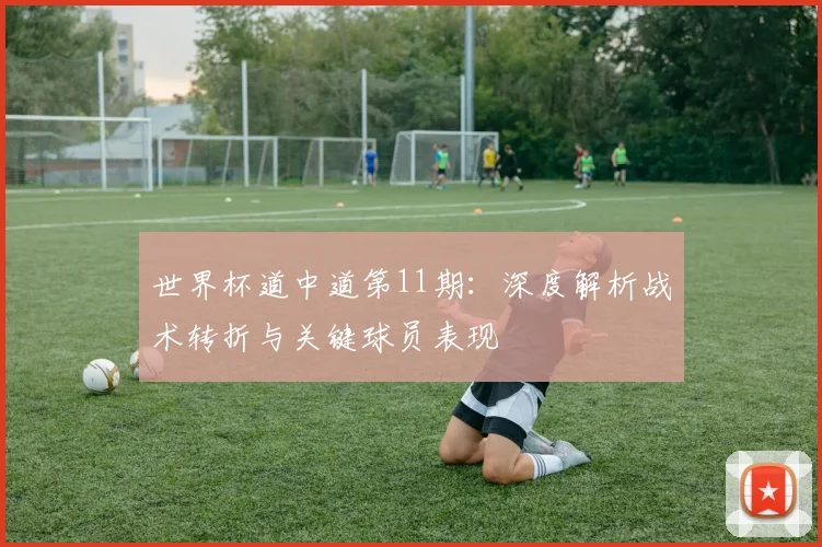 世界杯道中道第11期:深度解析战术转折与关键球员表现