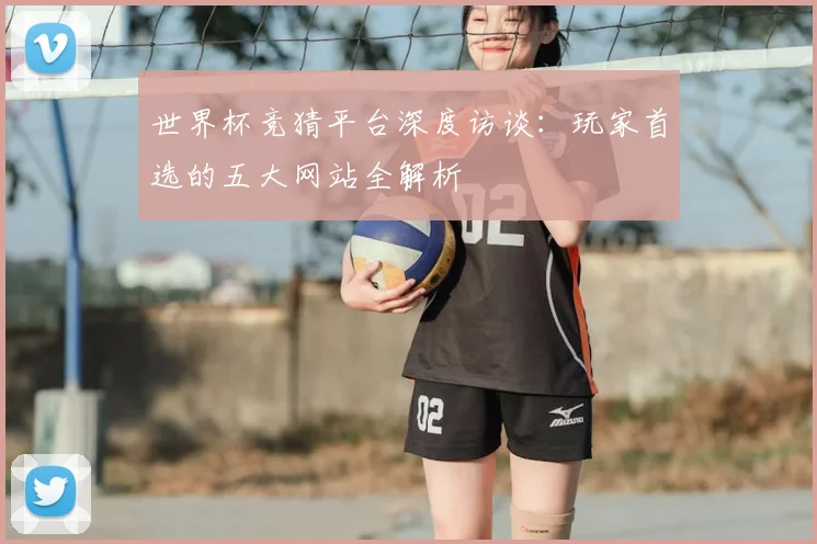 世界杯竞猜平台深度访谈:玩家首选的五大网站全解析