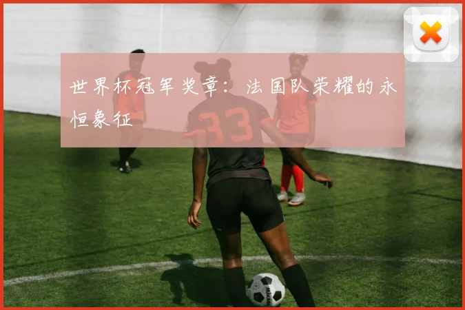 世界杯冠军奖章：法国队荣耀的永恒象征
