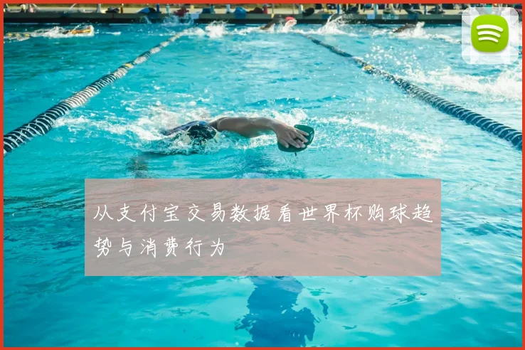从支付宝交易数据看世界杯购球趋势与消费行为