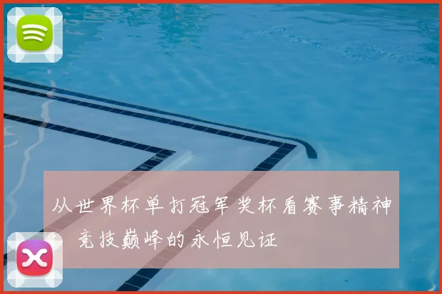 从世界杯单打冠军奖杯看赛事精神：竞技巅峰的永恒见证