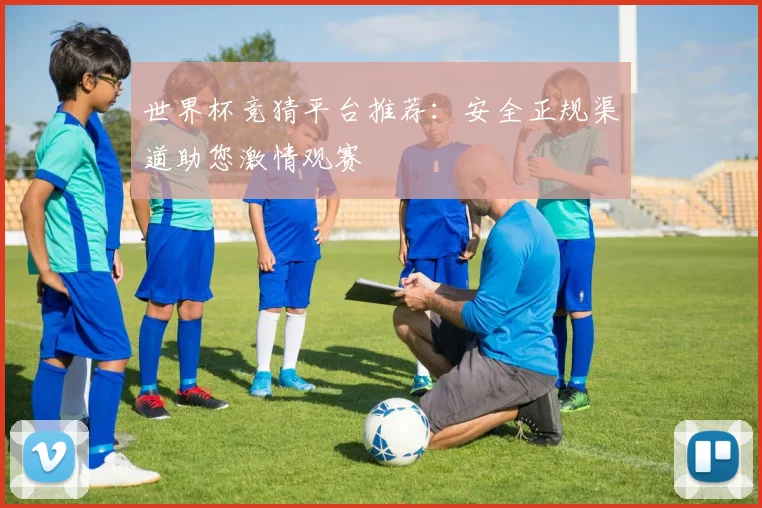 世界杯竞猜平台推荐：安全正规渠道助您激情观赛