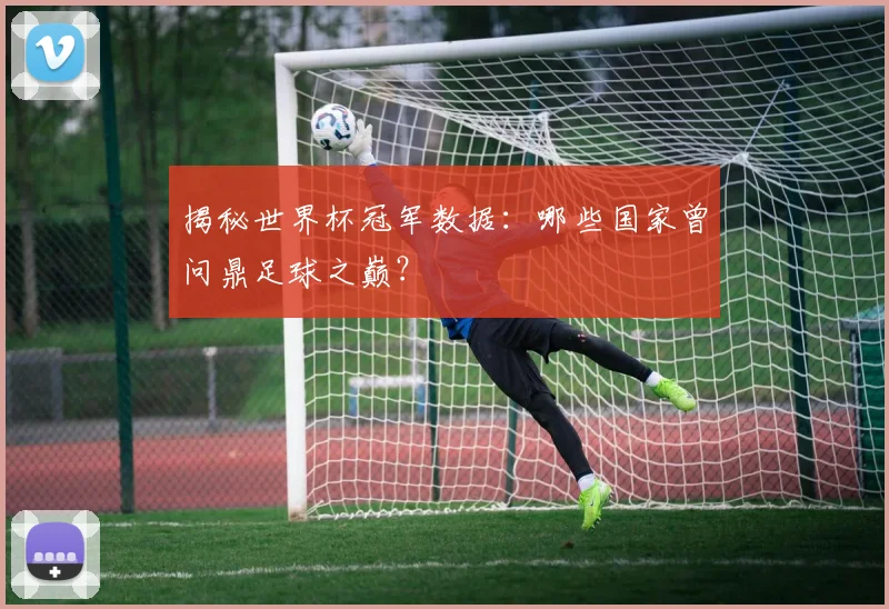 揭秘世界杯冠军数据：哪些国家曾问鼎足球之巅？