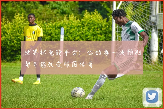 世界杯竞猜平台:你的每一次预测都可能改变绿茵传奇