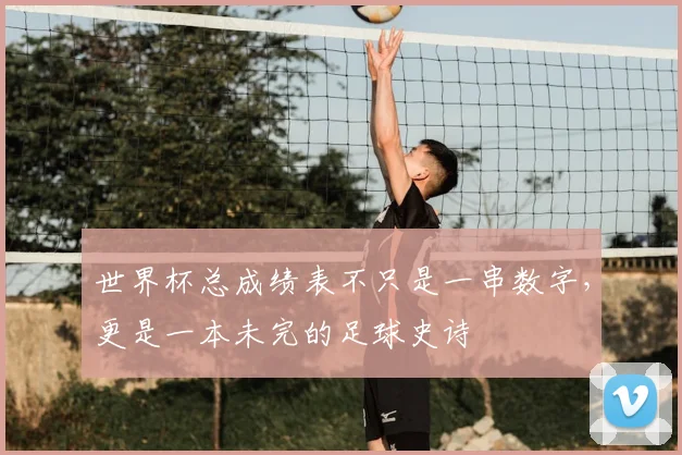 世界杯总成绩表不只是一串数字,更是一本未完的足球史诗