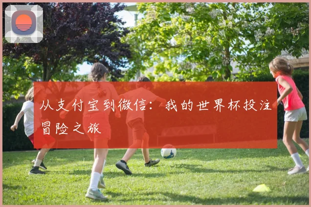 从支付宝到微信:我的世界杯投注冒险之旅